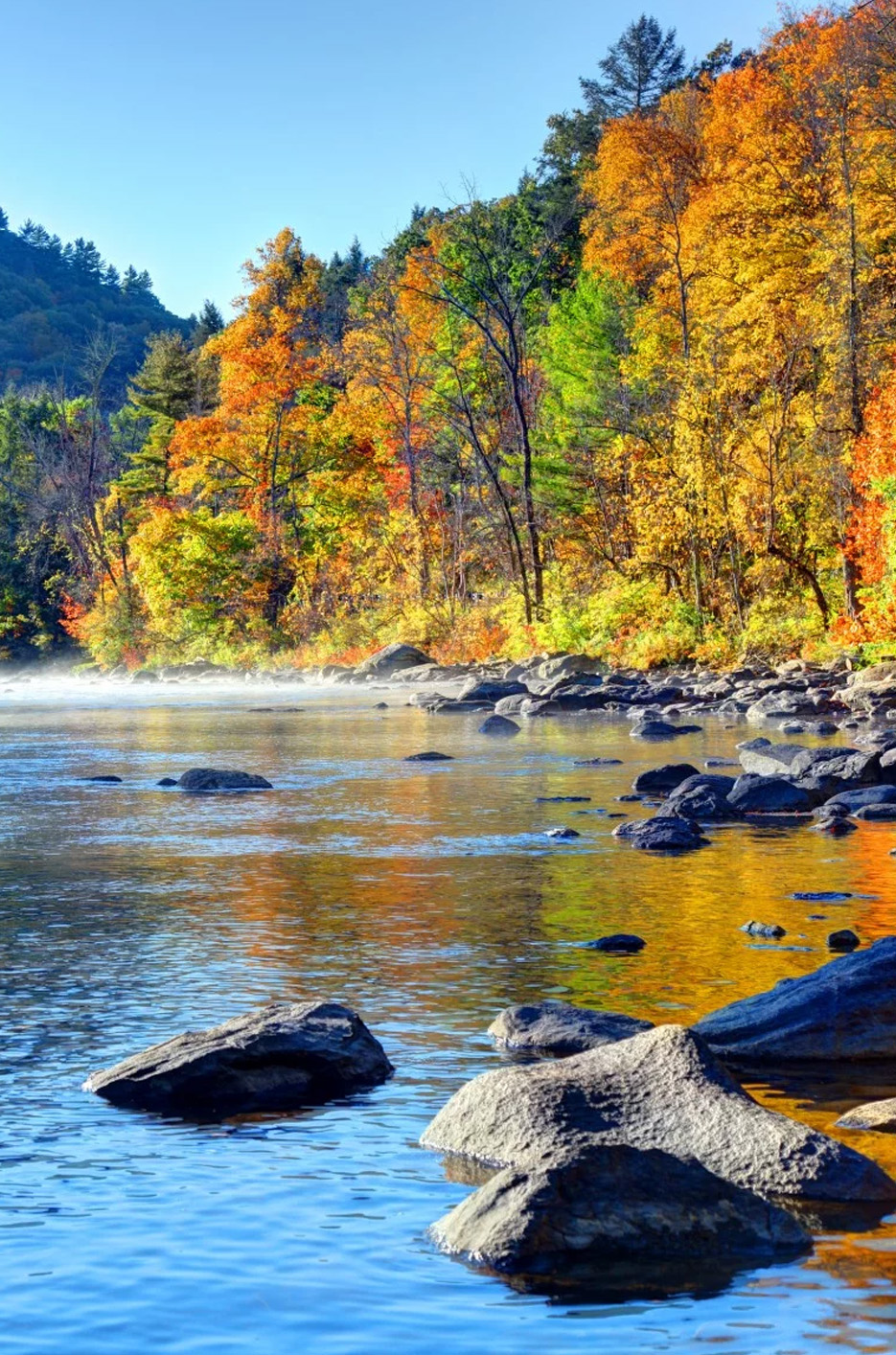 fall foliage along coast