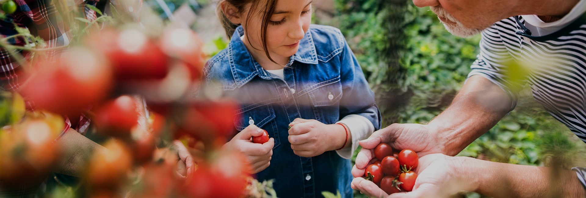 Want a Happier, Healthier Life? Start A Garden