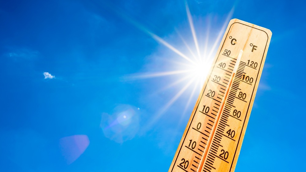 Summer Heat…” An Ounce of Prevention Is Worth <br>a Pound of Cure” Ben Franklin